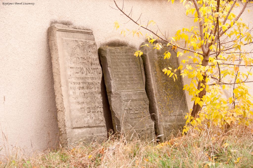 stary cmentarz żydowski w Kaliszu