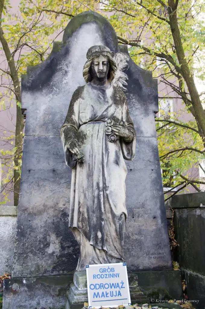 Krzyżanowski