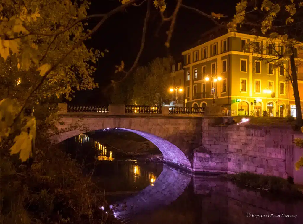 DSC_7133 - Kalisz Czasem Malowany Calisia Kalisz