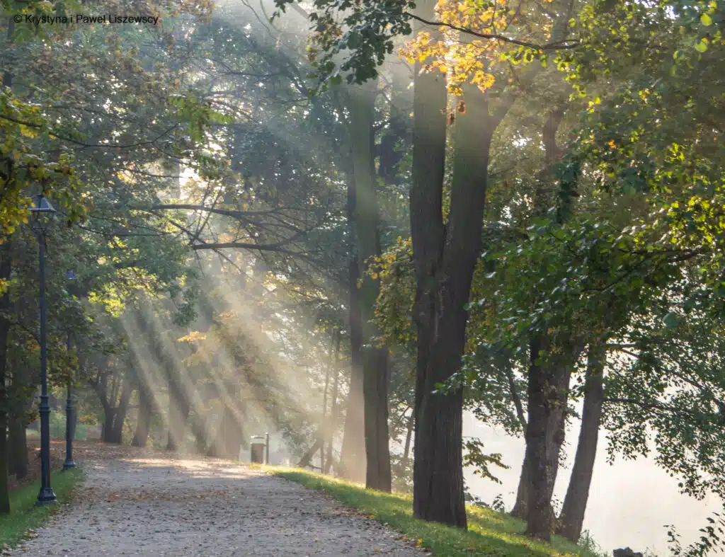 Park Kaliski