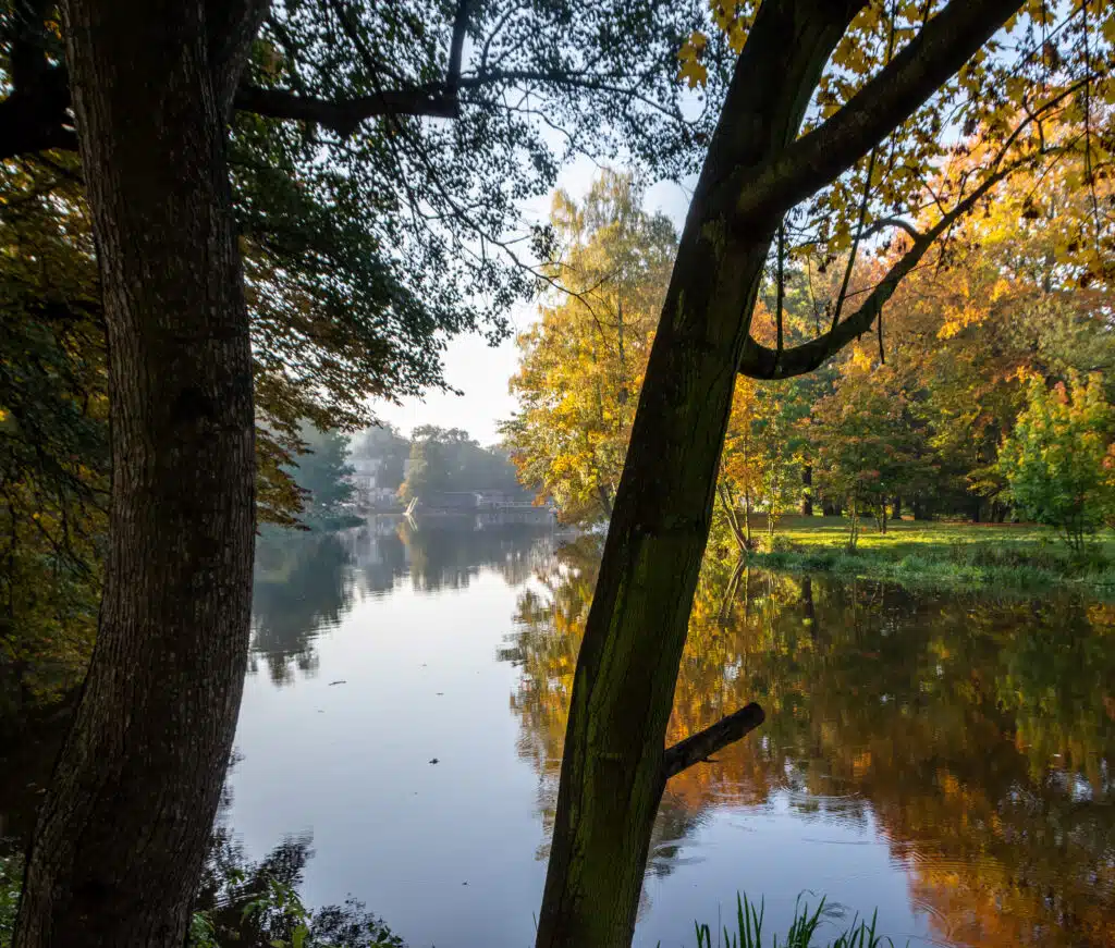 Park Kaliski