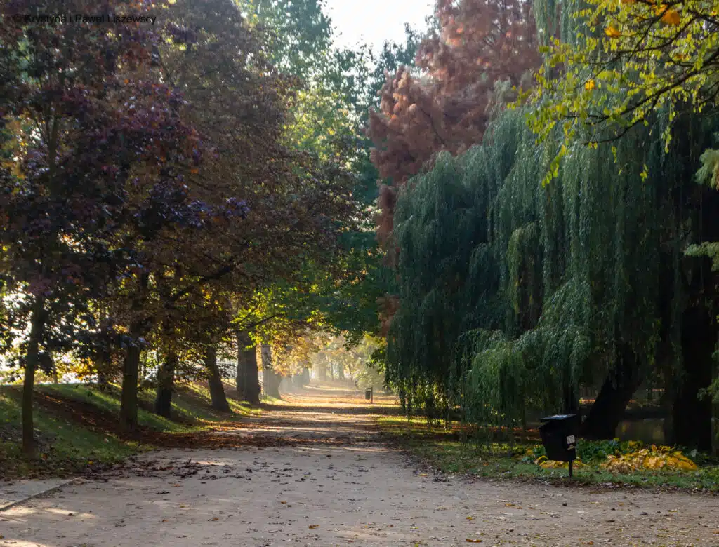 Park Kaliski