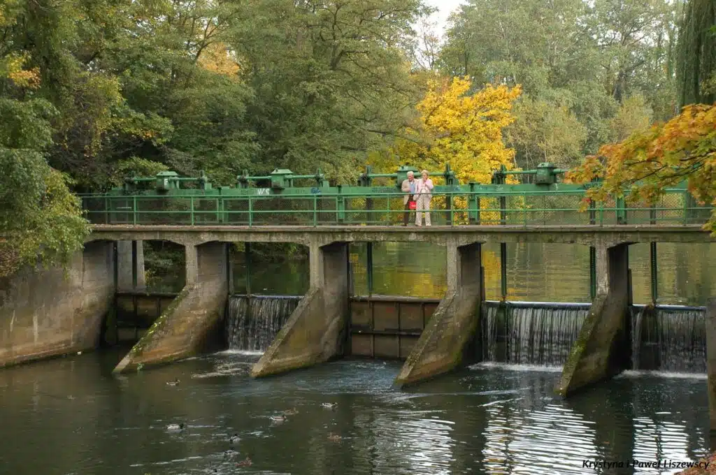 Park Kaliski
