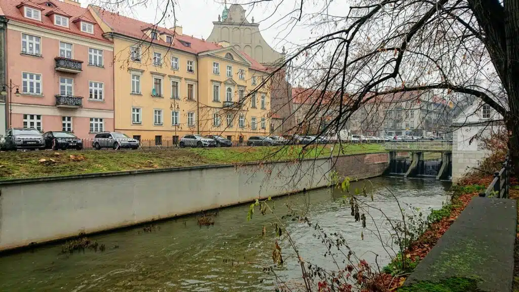 Akacje w Kaliszu
