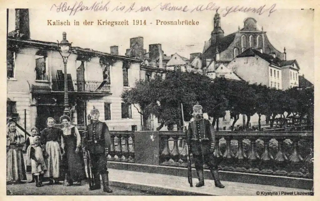 Akacje w Kaliszu