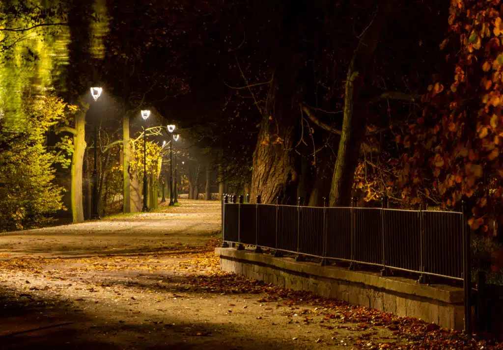 kalisz park