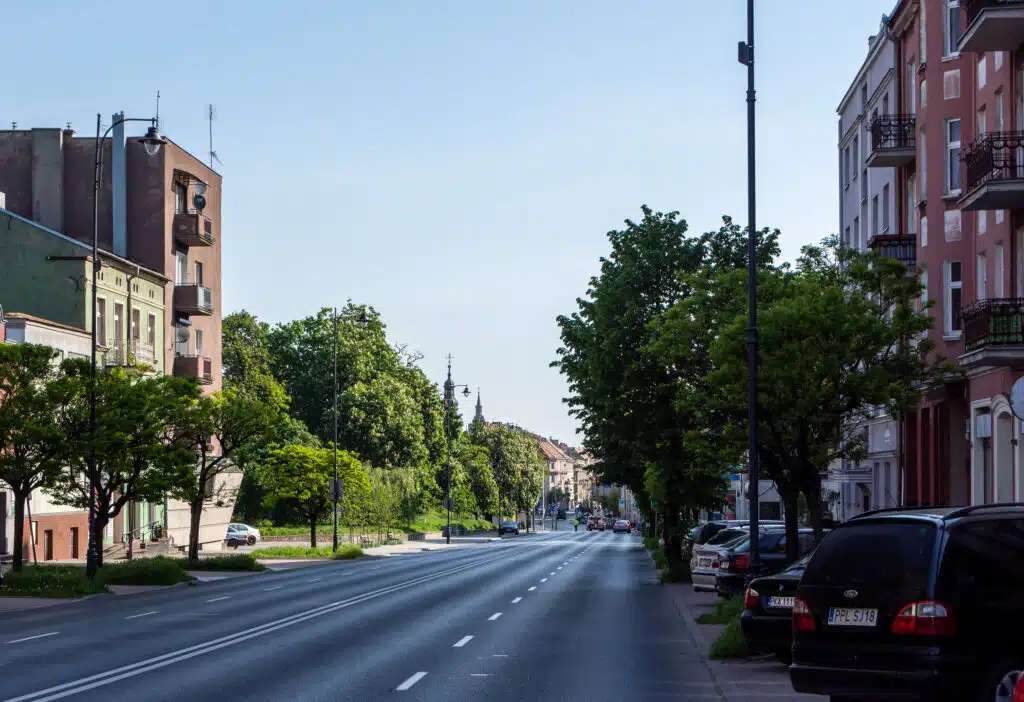 Zielony Kalisz