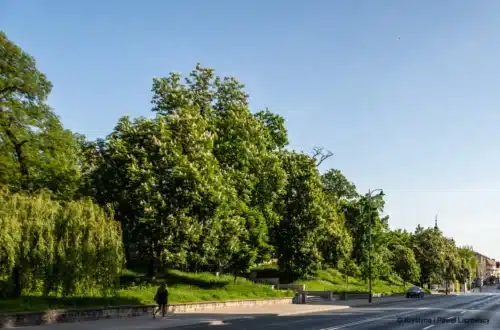 górnośląska