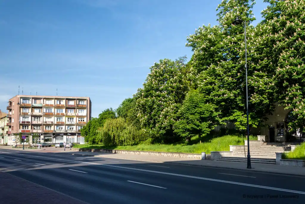 Zielony Kalisz