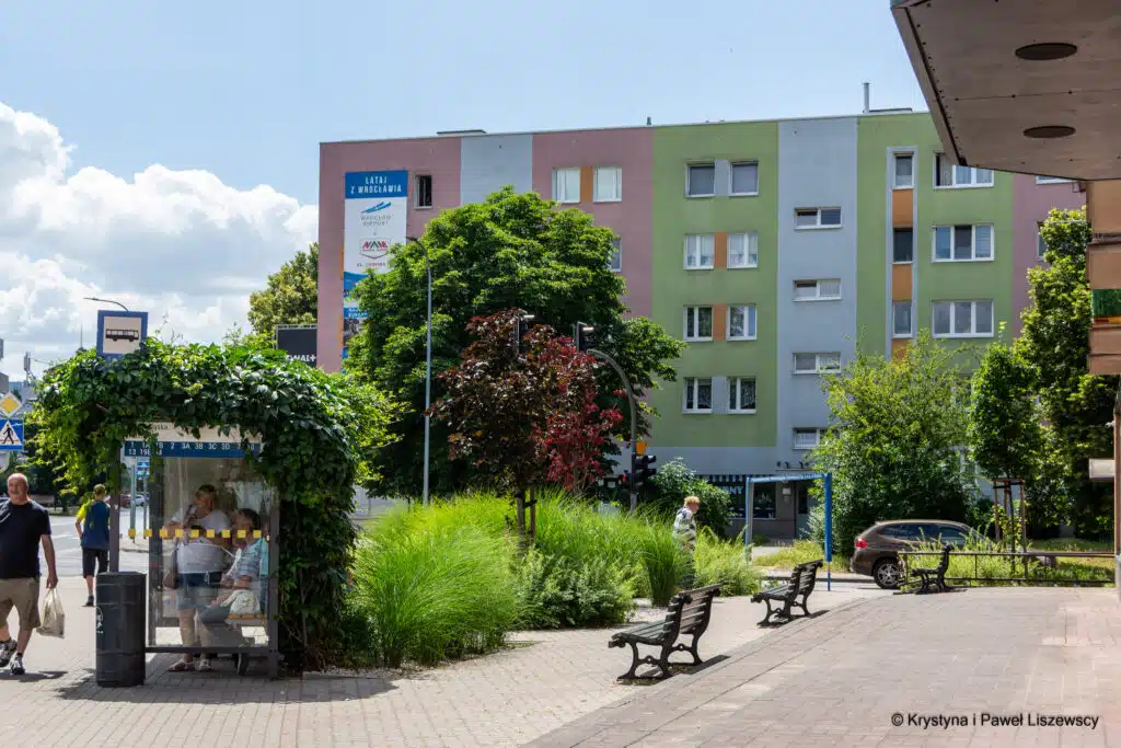 Zielony Kalisz