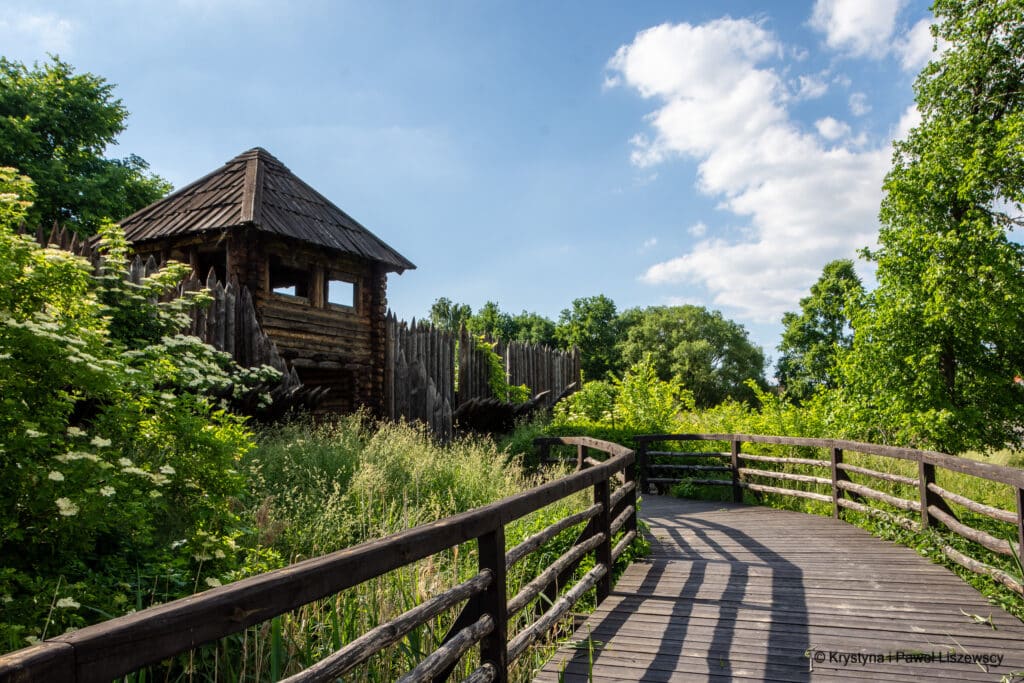 Zawodzie rezerwat archeologiczny