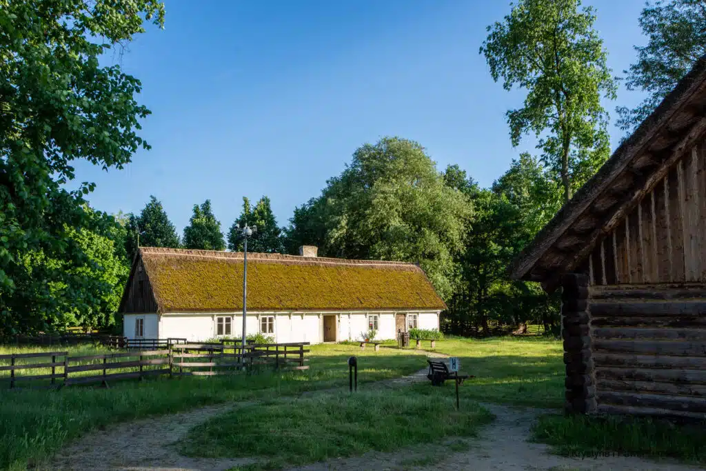 Zawodzie rezerwat archeologiczny