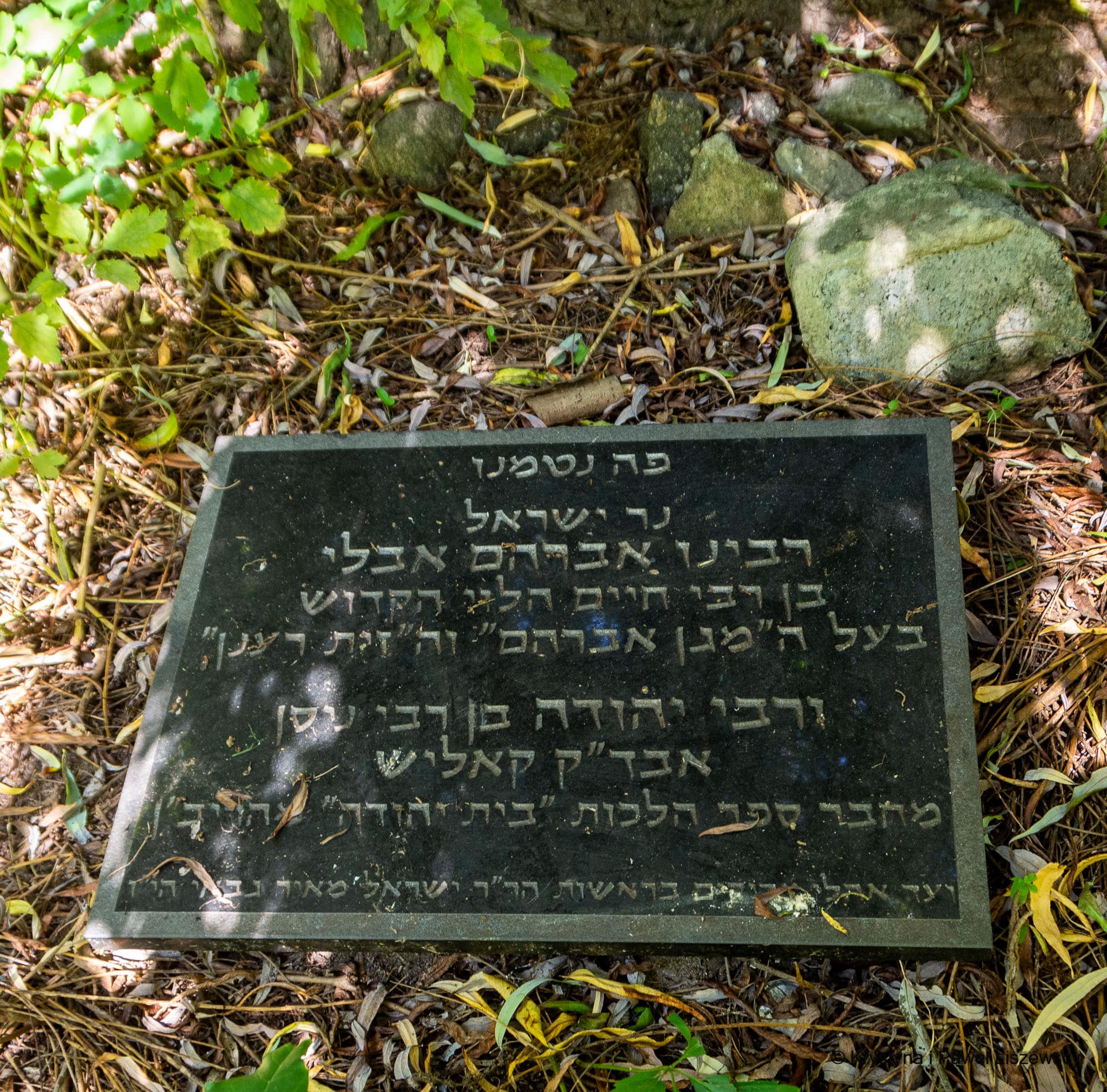 stary cmentarz żydowski w Kaliszu Magen Avraham 