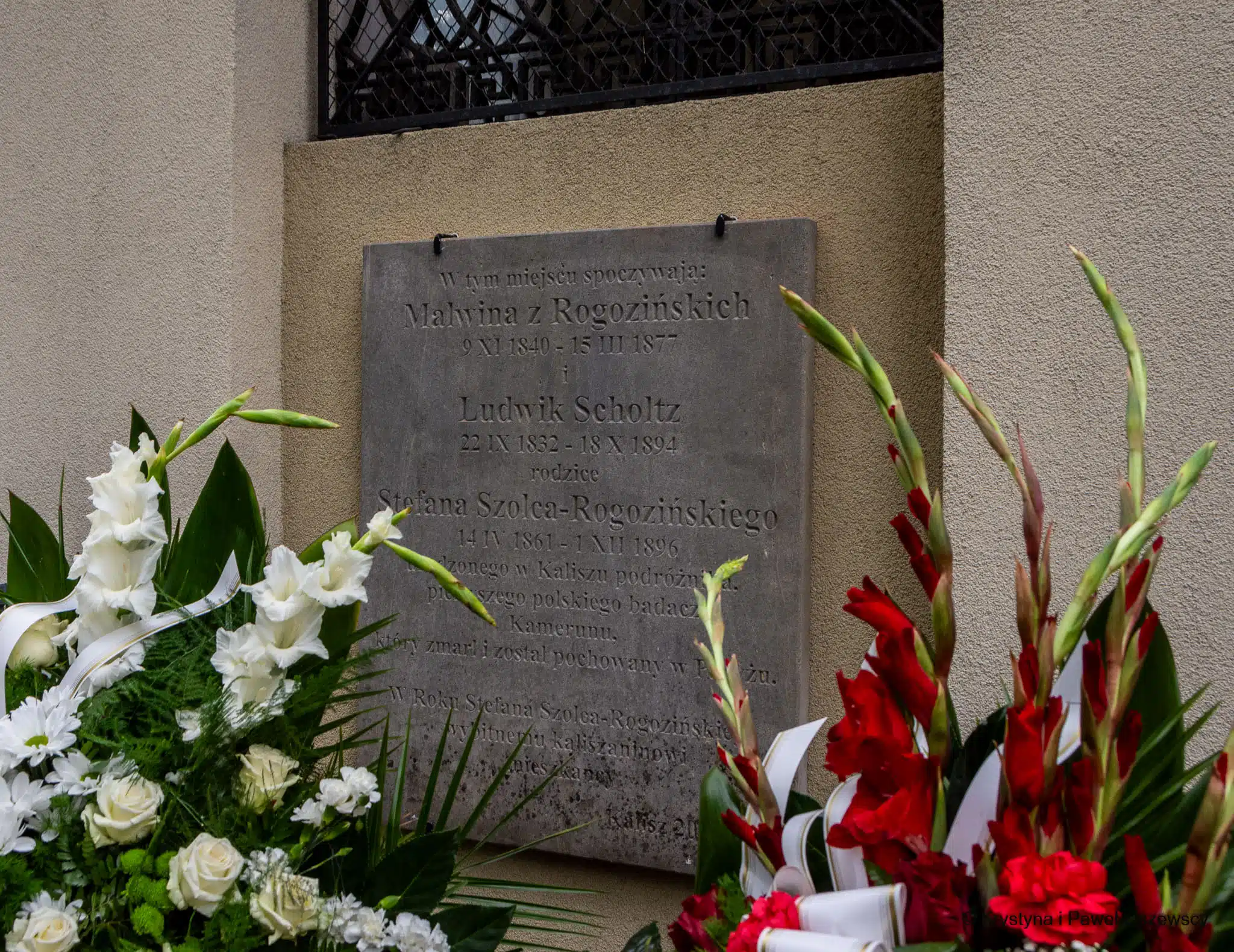 Stefan Szolc-Rogoziński