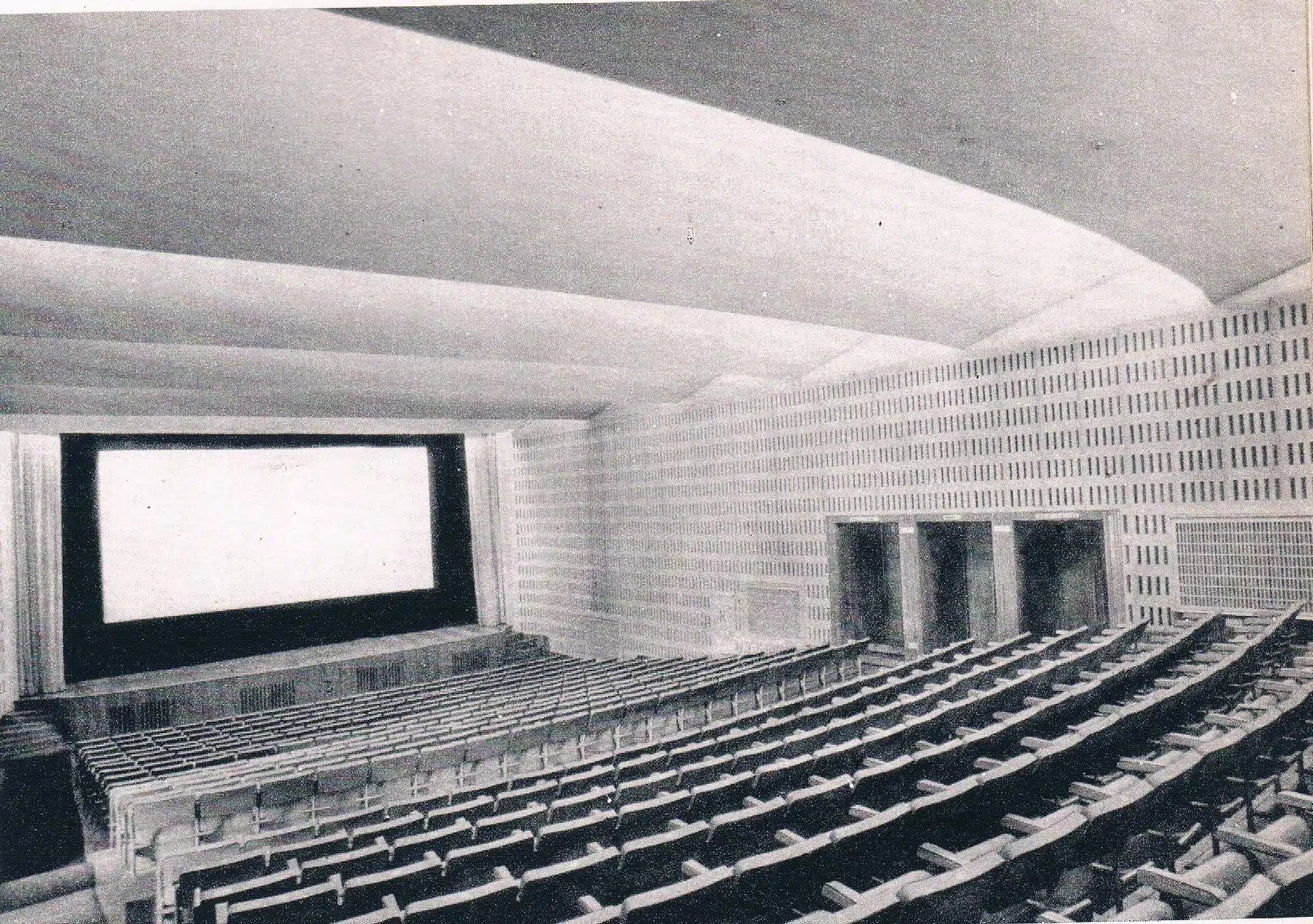 kino Oaza