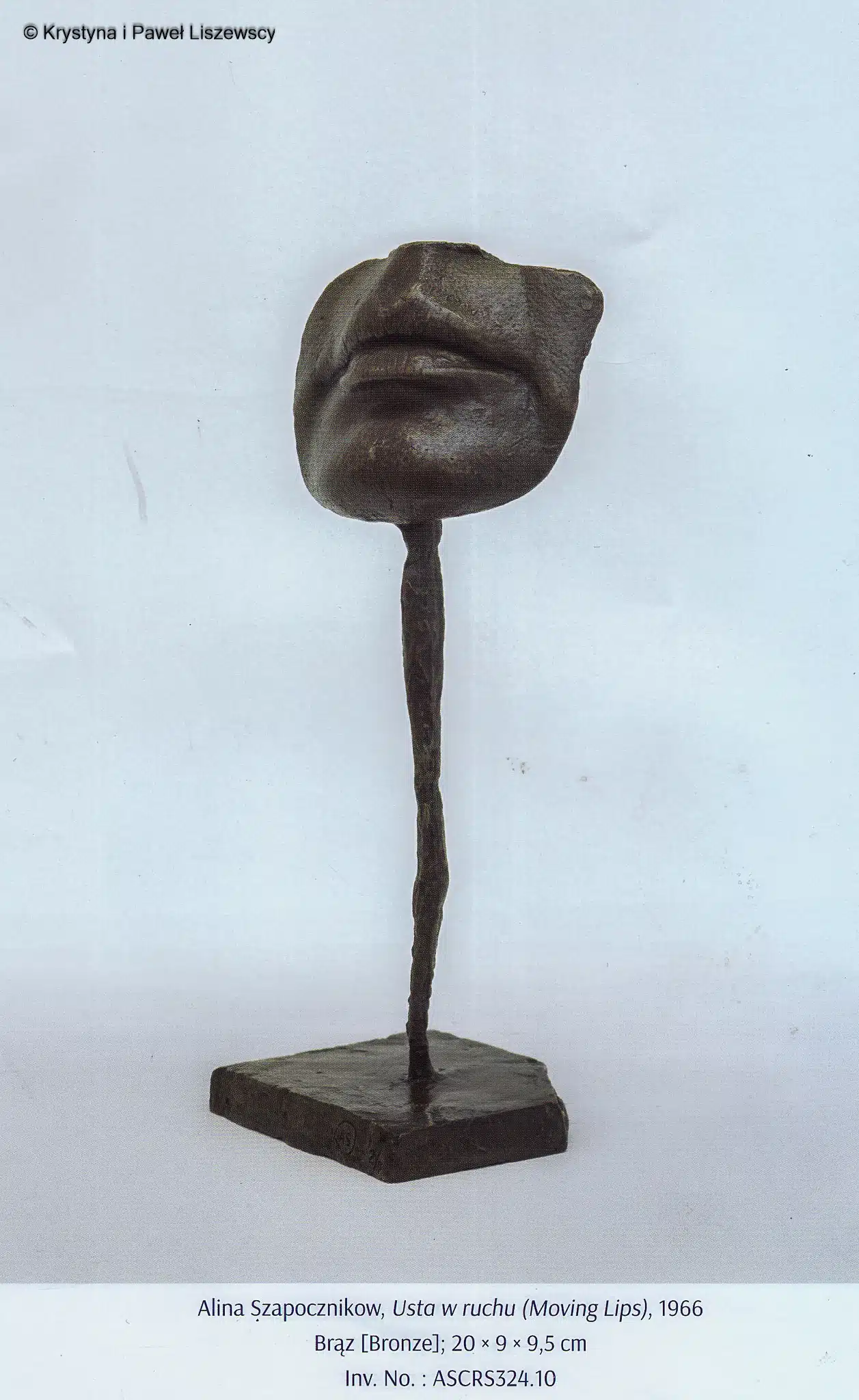 Szapocznikow rzeźby