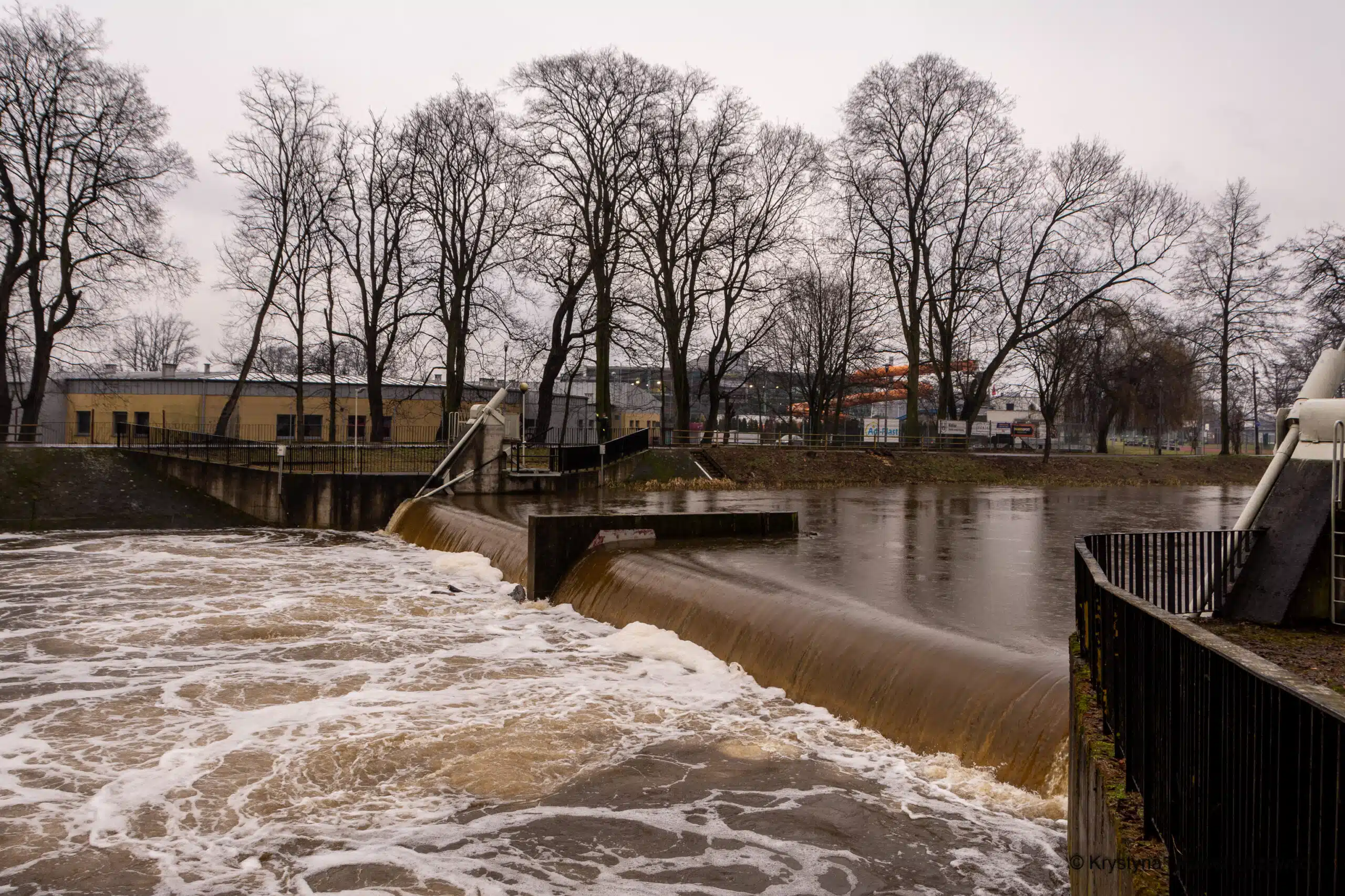 DSC_4276 - Kalisz Czasem Malowany