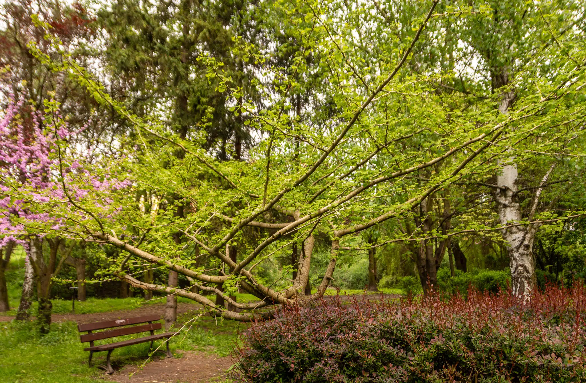 Park nad Krępicą Iwonka Urbanowska