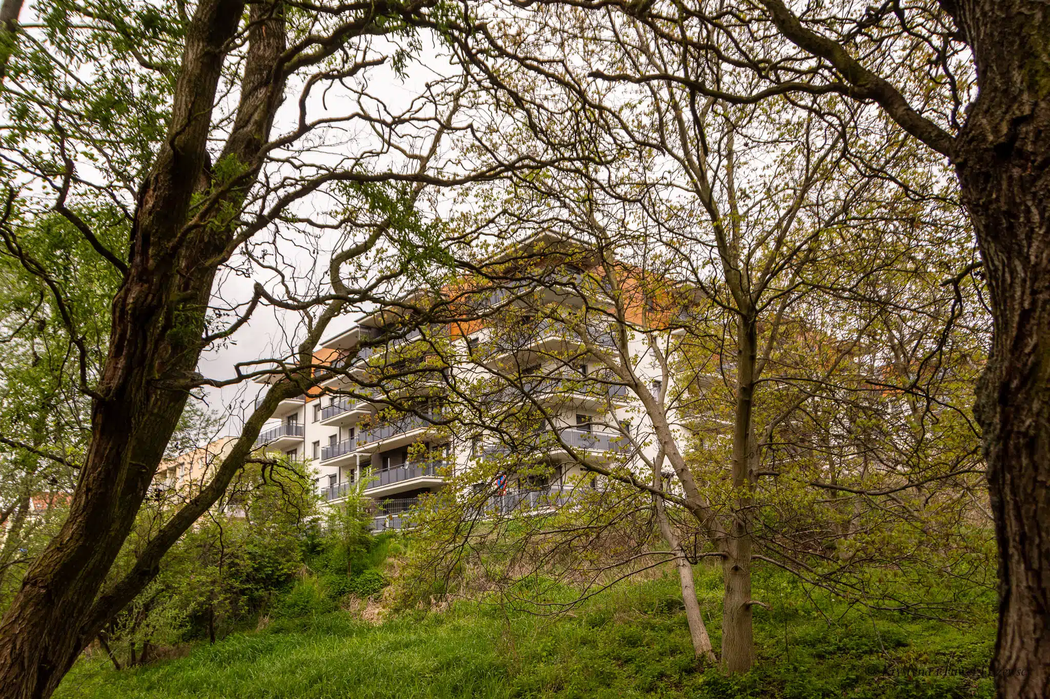 Park nad Krępicą Iwonka Urbanowska