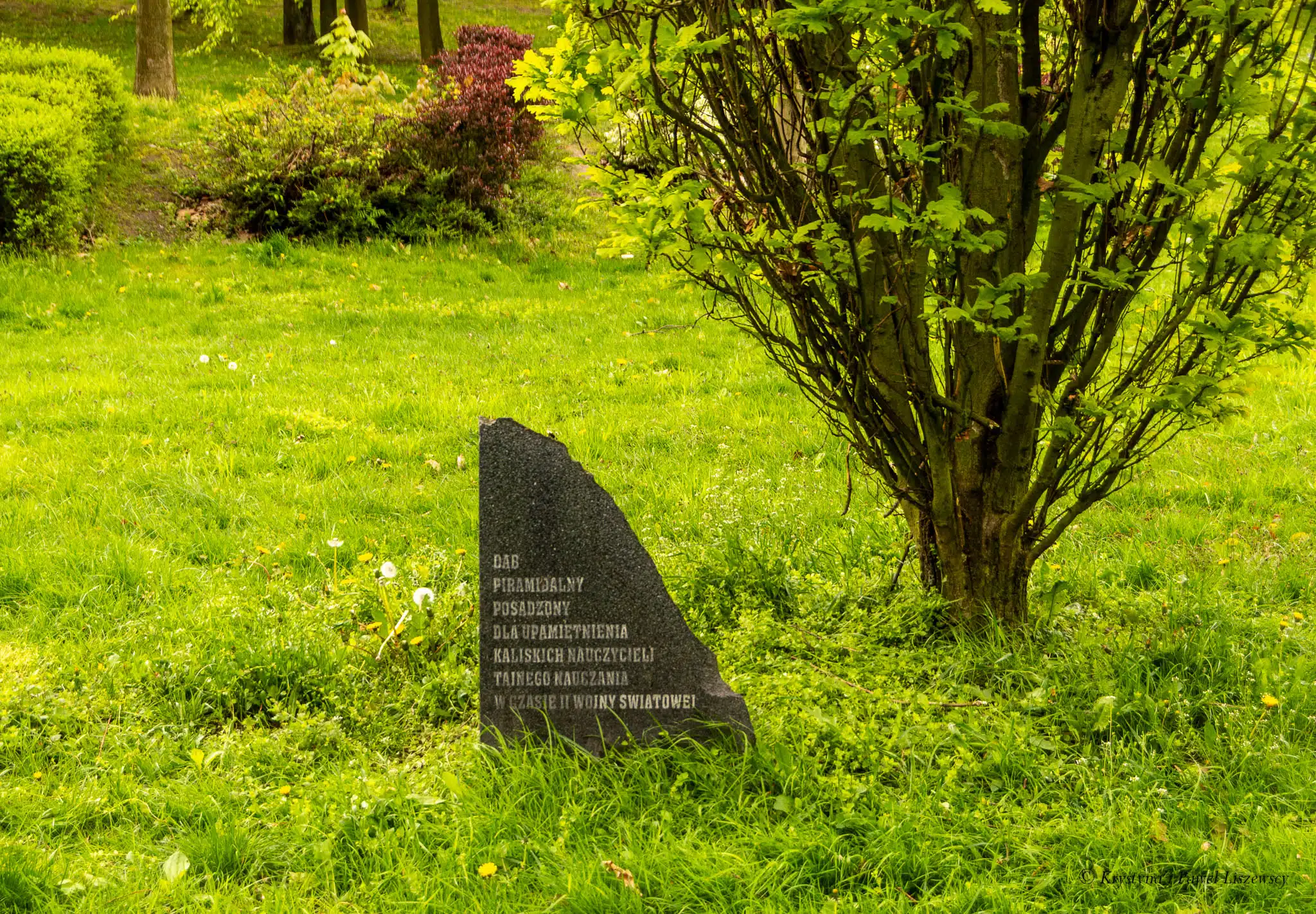 Park nad Krępicą Iwonka Urbanowska