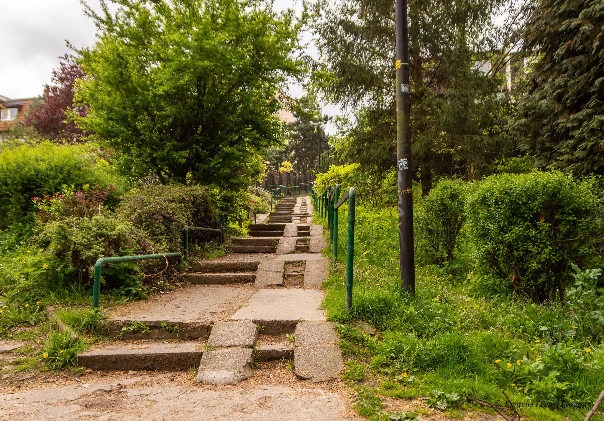 Park nad Krępicą Iwonka Urbanowska