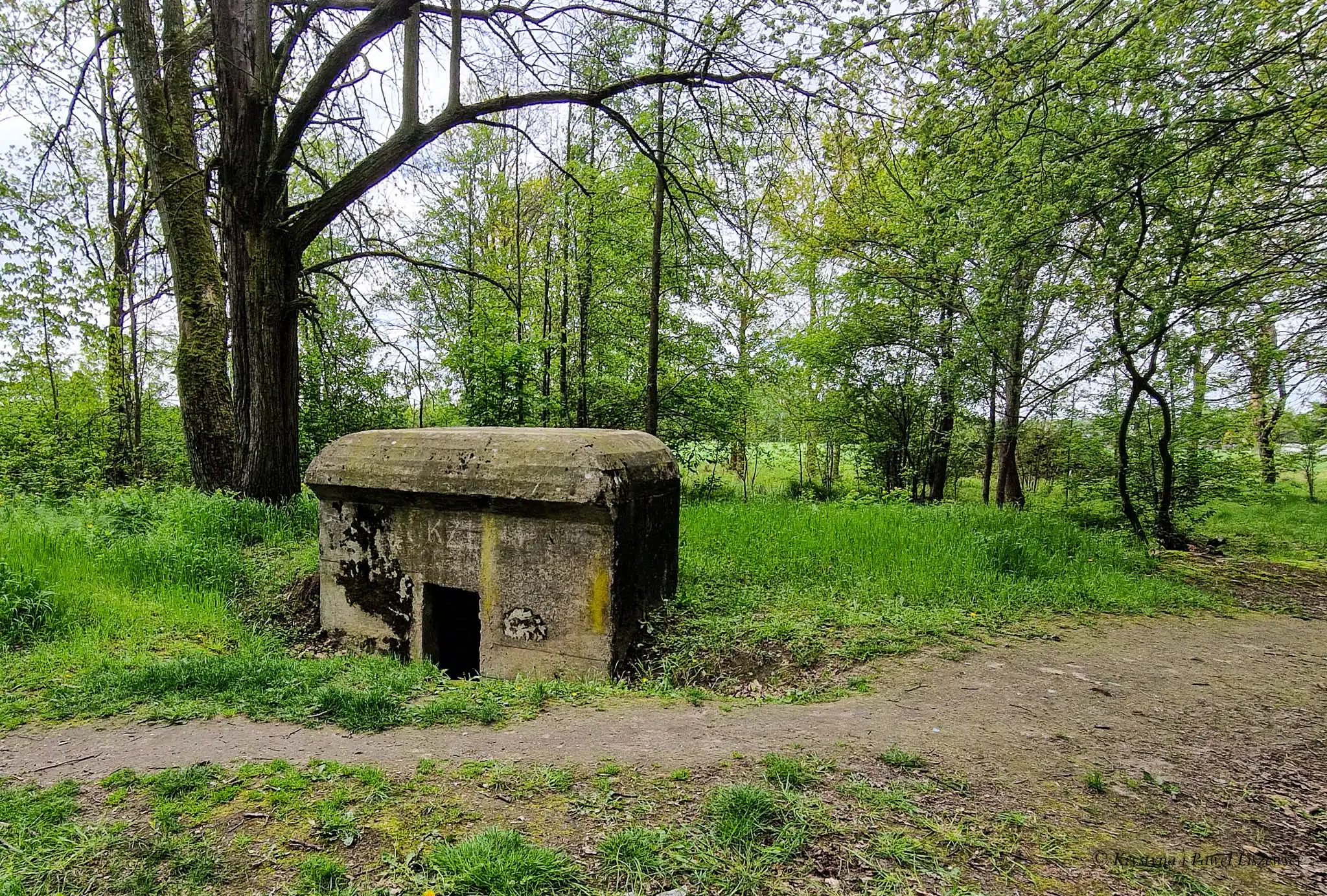 Park podworski w Szczypiornie - Zielony Kalisz
