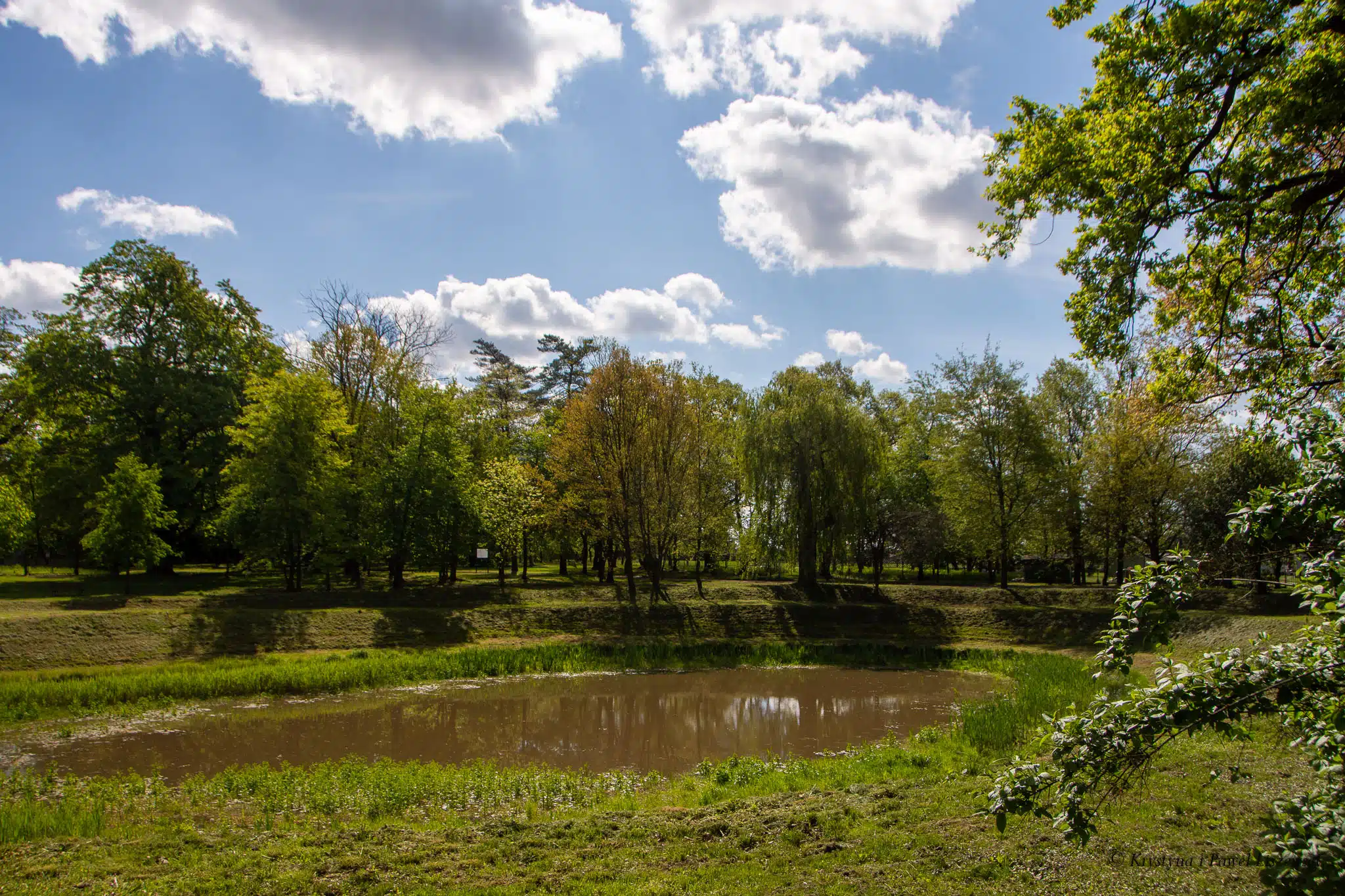 Park podworski w Szczypiornie - Zielony Kalisz