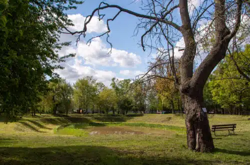 Park podworski w Szczypiornie - Zielony Kalisz