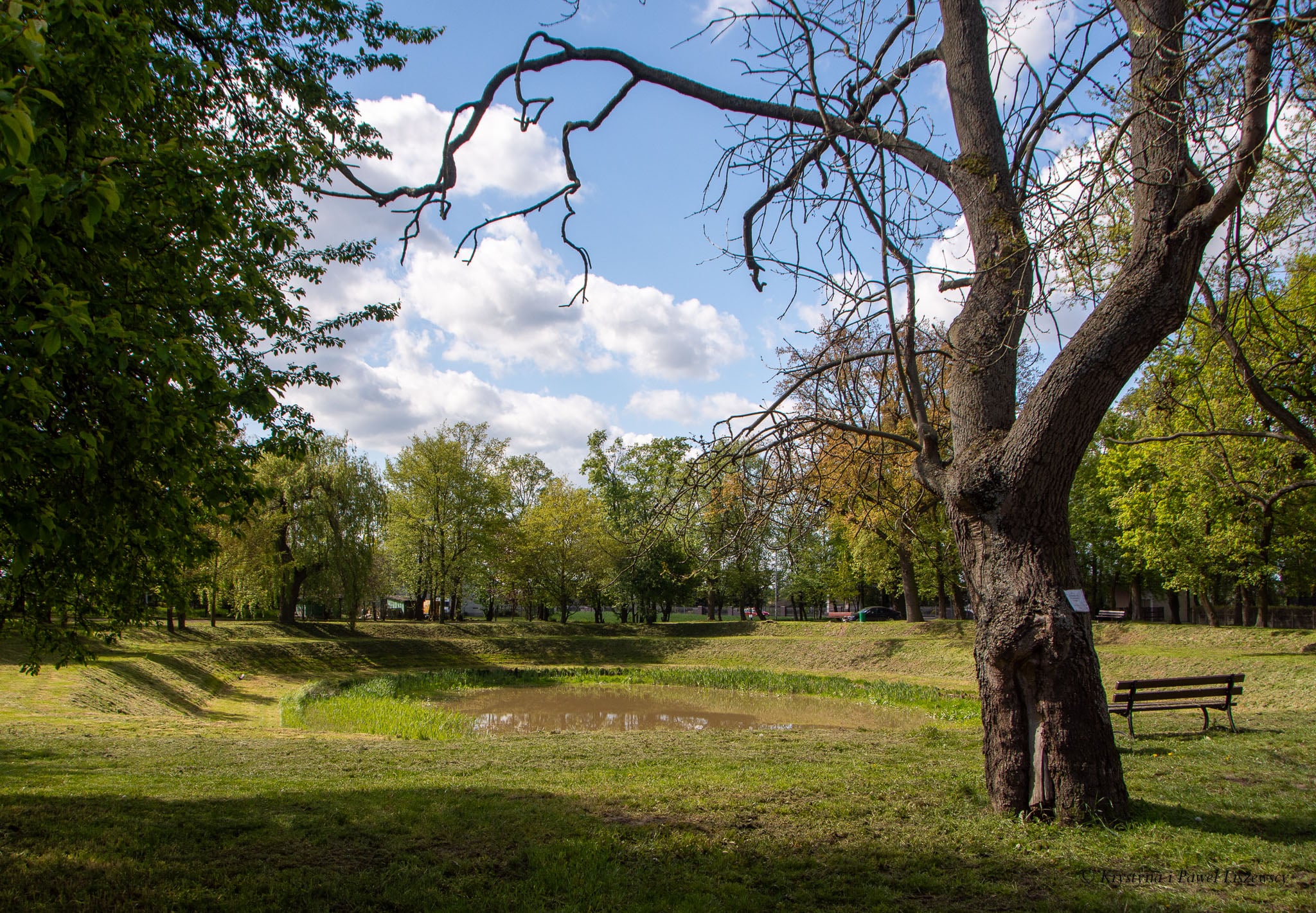 Park podworski w Szczypiornie - Zielony Kalisz