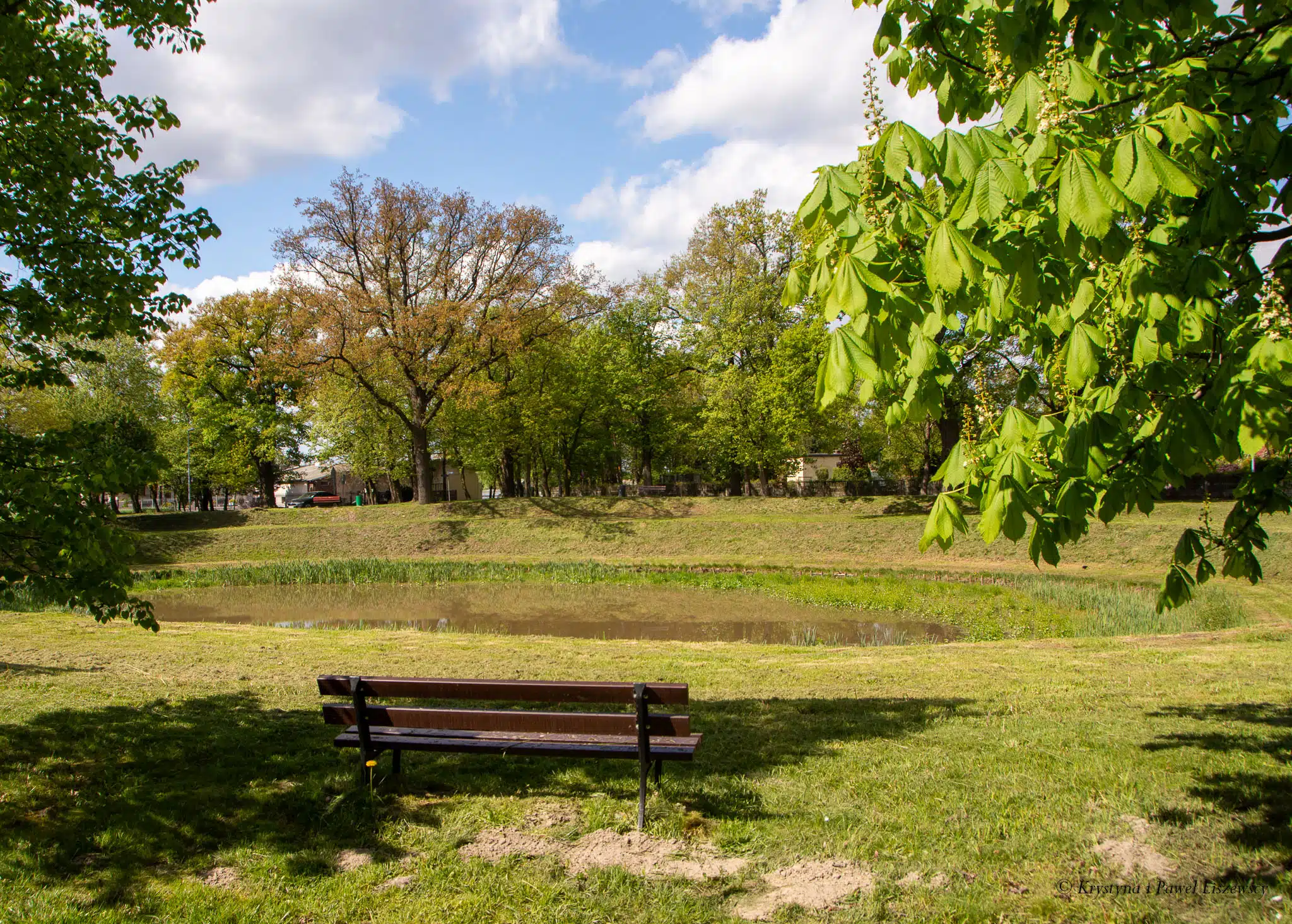 Park podworski w Szczypiornie - Zielony Kalisz