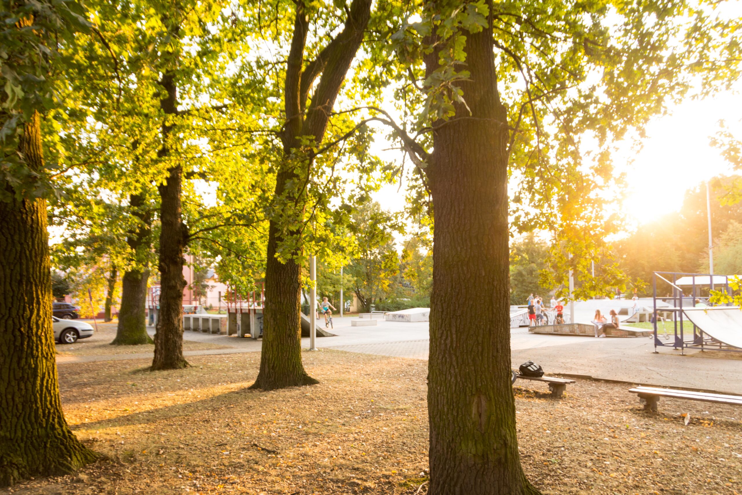 ogródek jordanowski, park Paderewskiego 