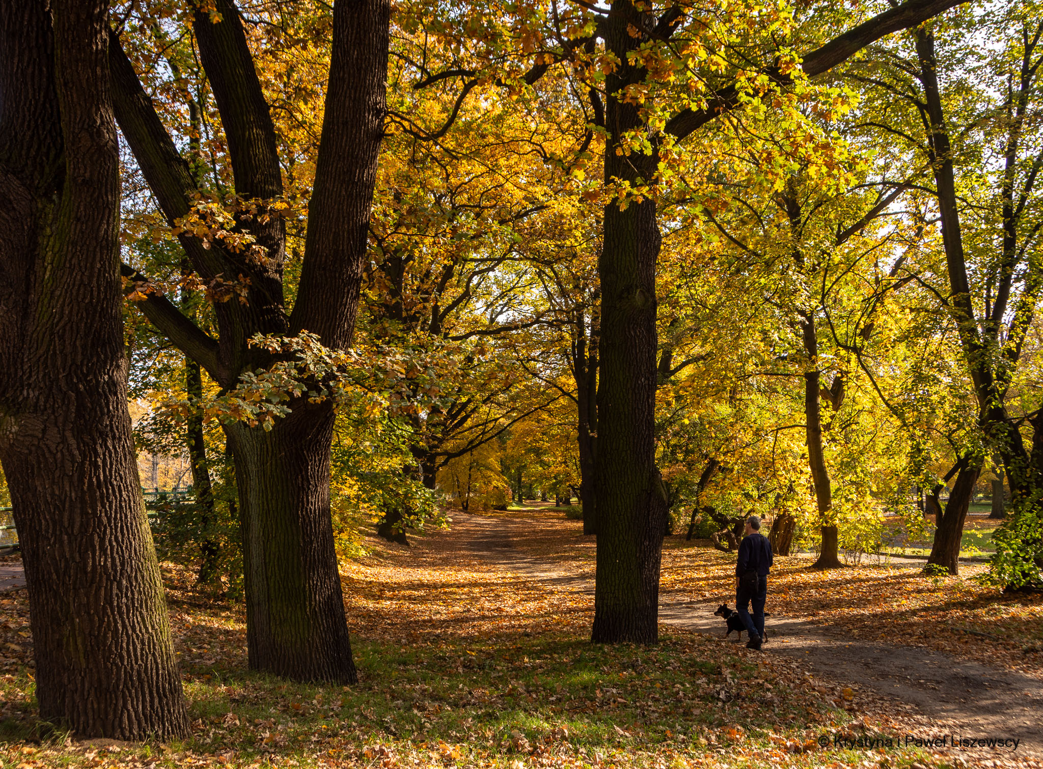 ogródek jordanowski, park paderewskiego