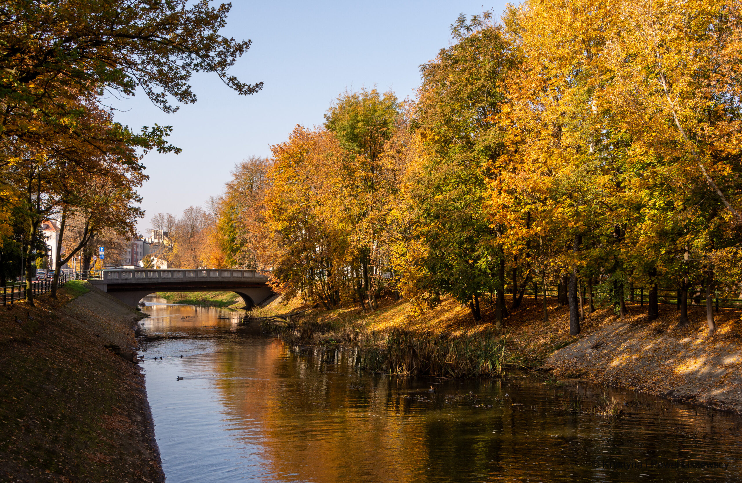 ogródek jordanowski, park Paderewskiego