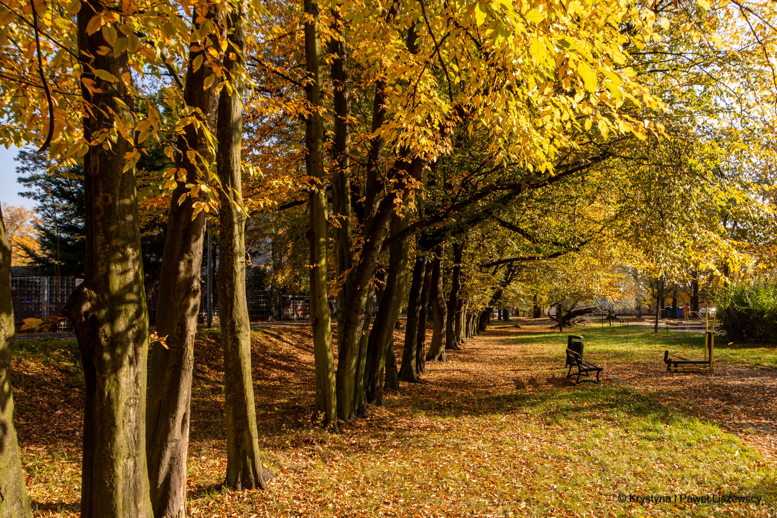 ogródek jordanowski, park Paderewskiego