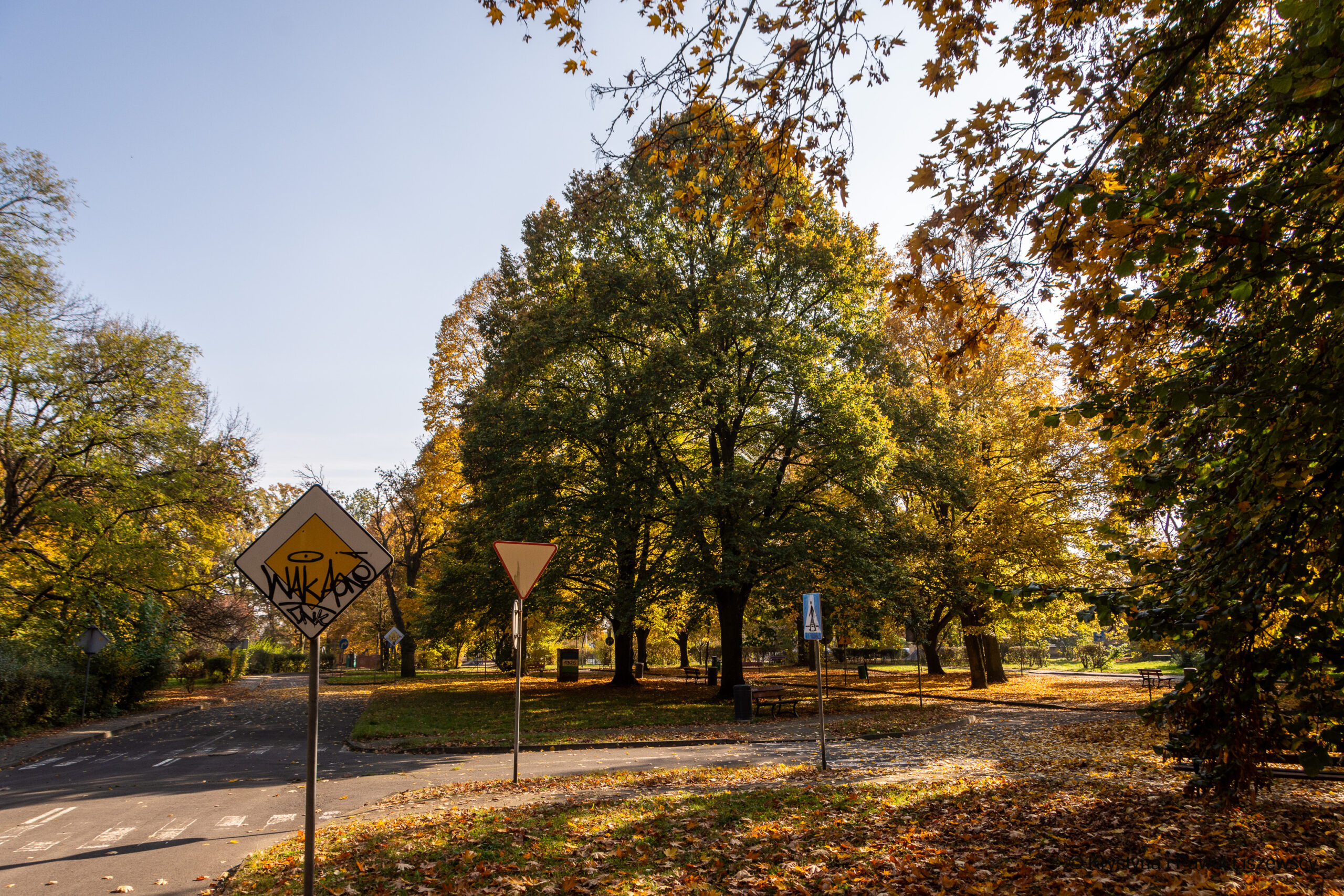 ogródek jordanowski, park Paderewskiego