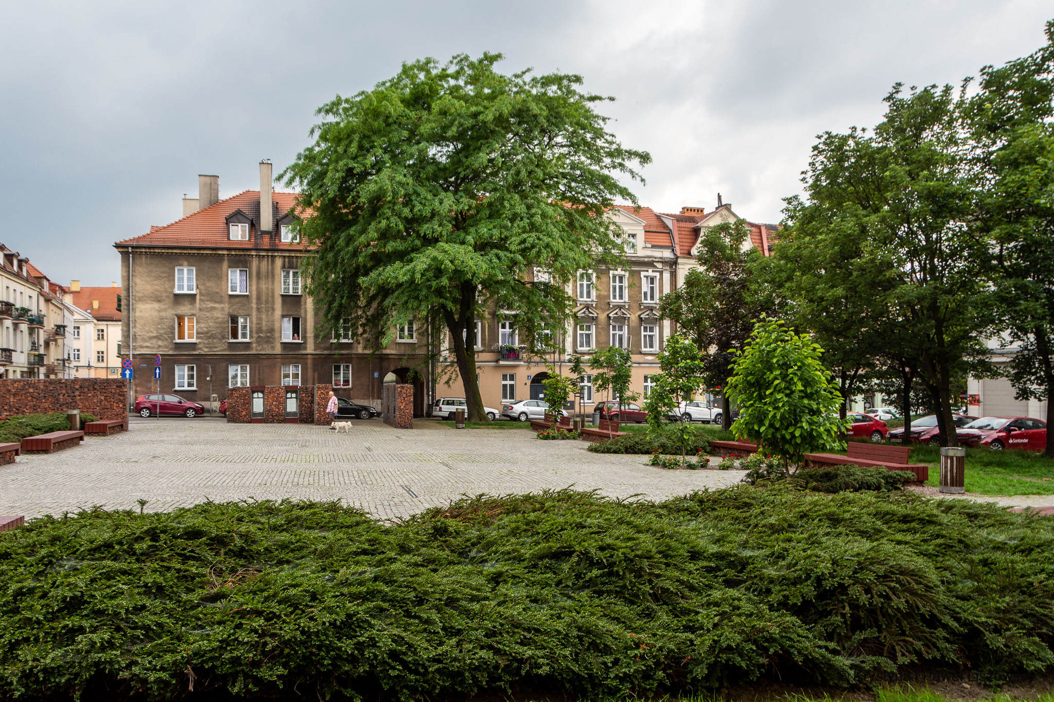 Rozmarek