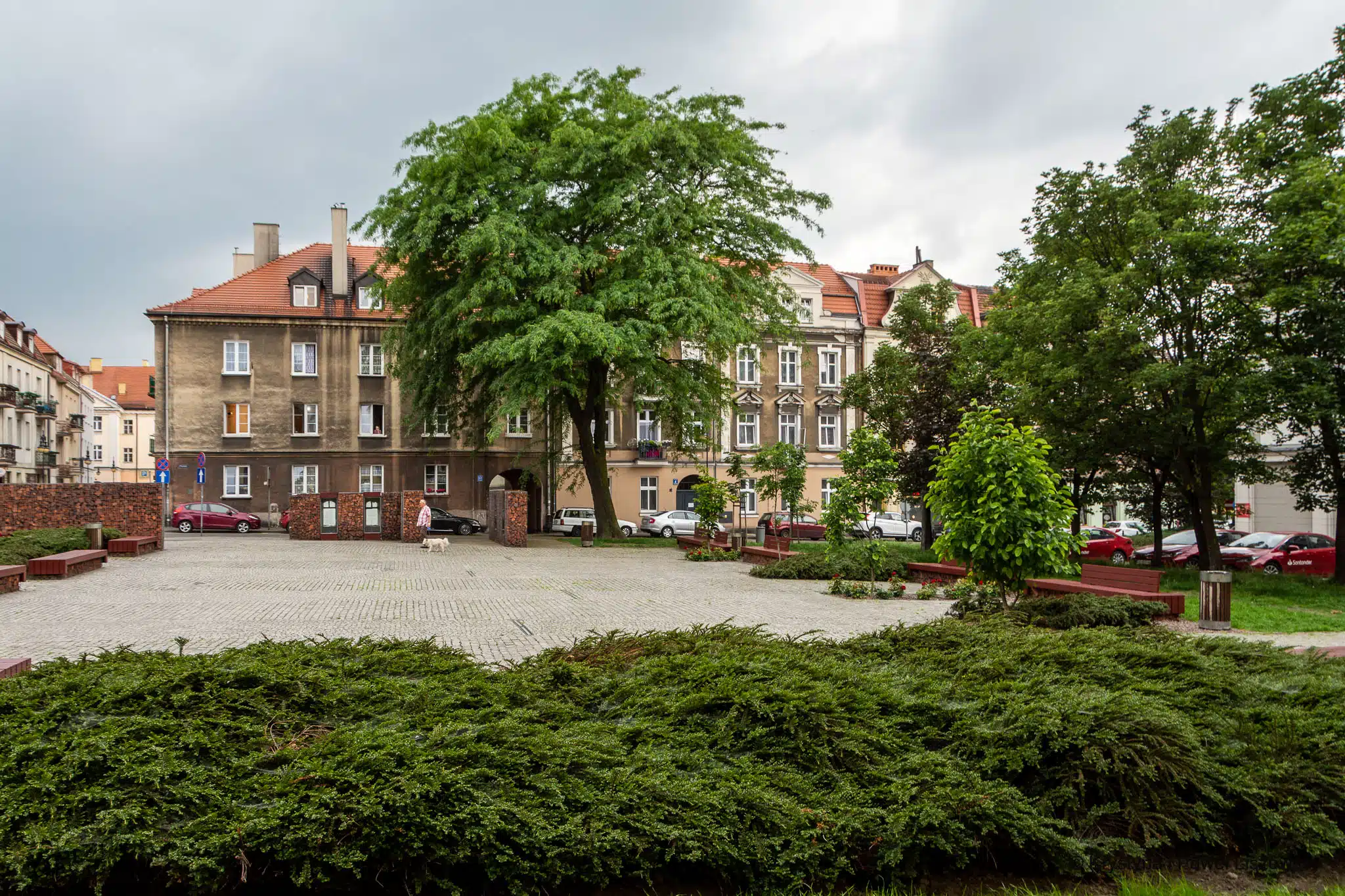 Rozmarek