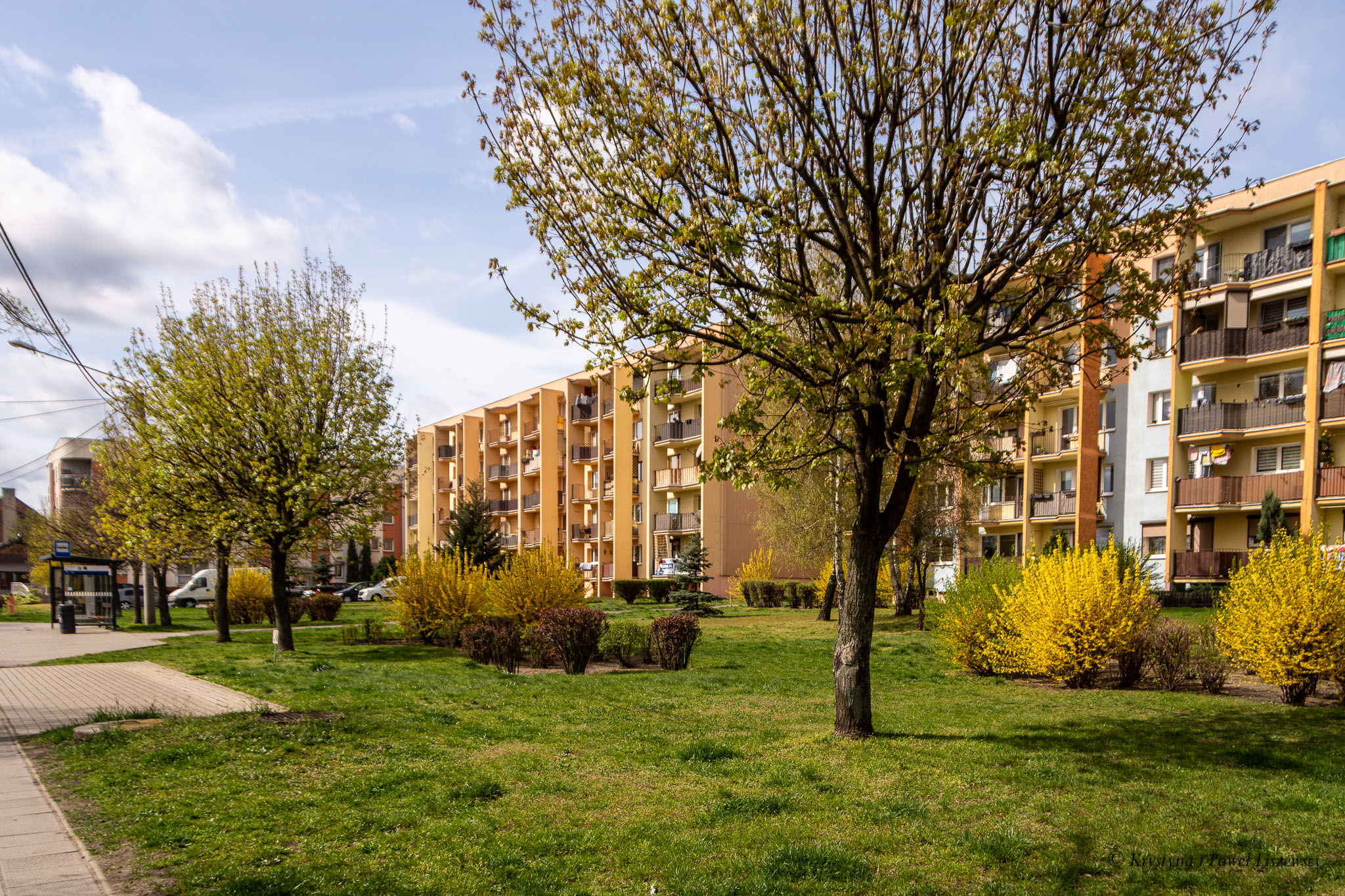 Dobrzecka