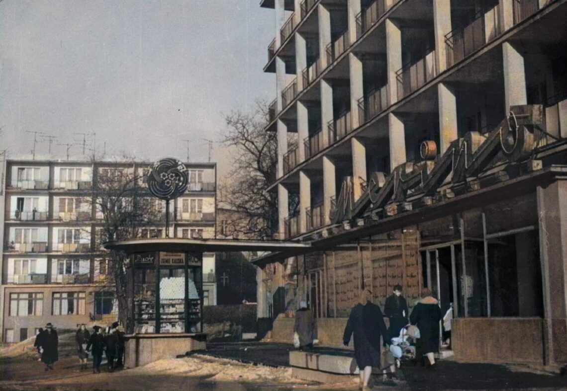 MERINO Górnośląska