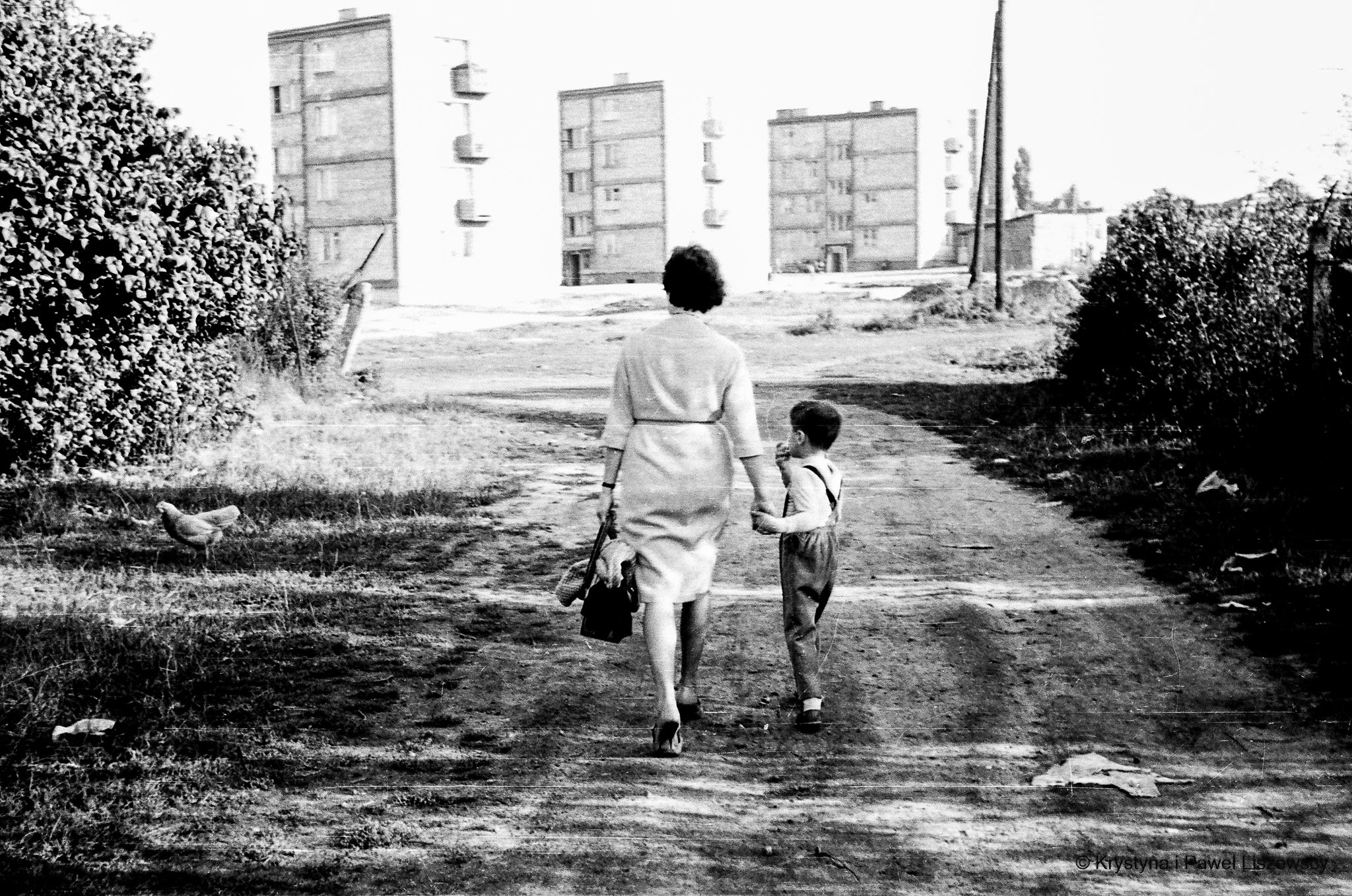 64780032 - Kalisz Czasem Malowany Kalisz w starym albumie