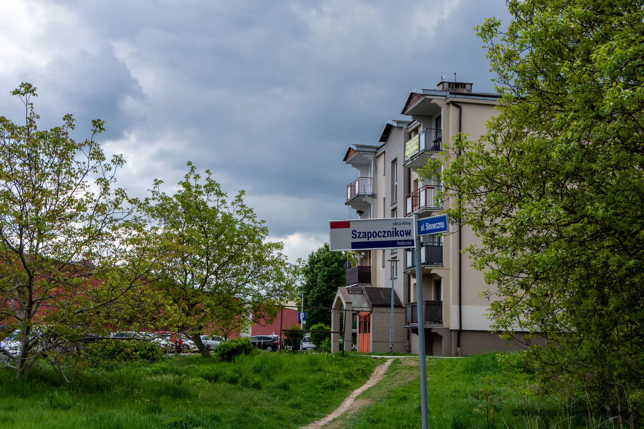 fotoliszewskiinfo - Kalisz Czasem Malowany Alina Szapocznikow